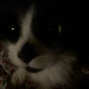 Meet your Posher, Wren